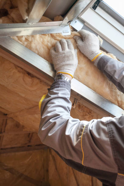 Best Insulation Removal Services  in Strongsville, OH